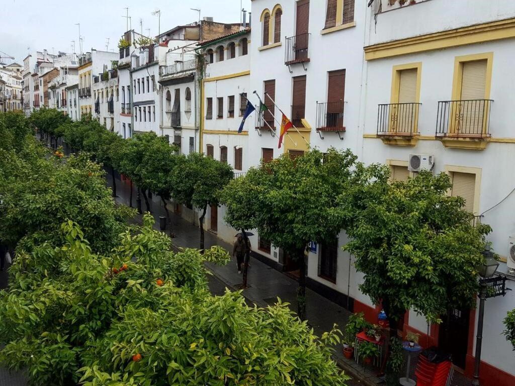The Mosque'S House Villa Cordoba Exterior photo